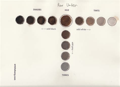 Raw Umber - Tone 40 Information | Art Shebang