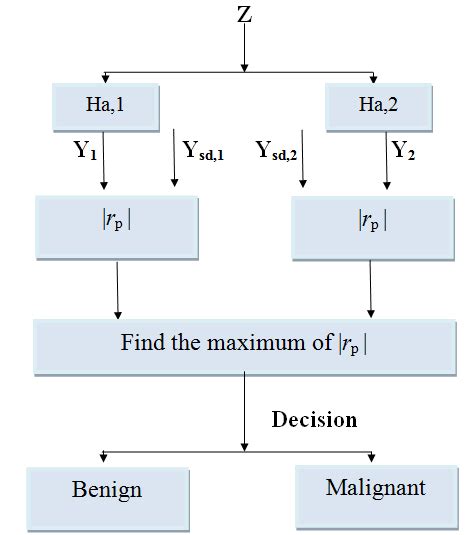 Classification Procedure 的图像结果