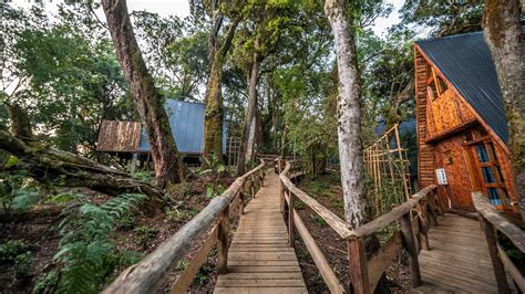 munazi lodge