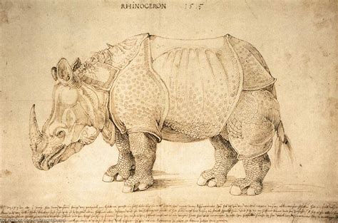 Get Paintings Reproductions Rhinoceros, 1515 by Albrecht Durer (1471 ...