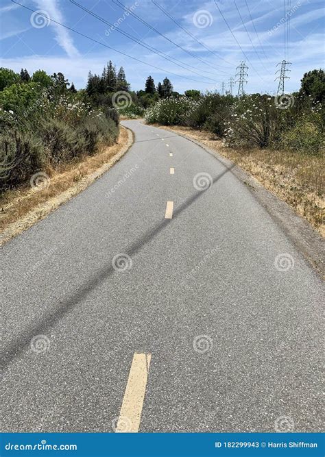 Stevens Creek Trail stock image. Image of flora, pavement - 182299943