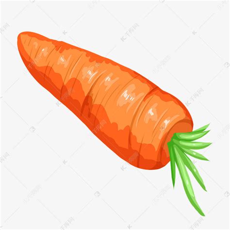 胡萝卜农家现挖 带泥新鲜水果蔬菜 红萝卜无保鲜剂生吃榨汁营养5斤 - 优选商城