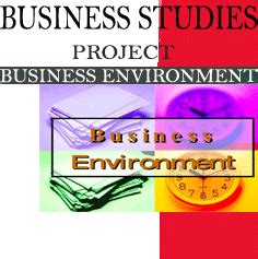 Image result for Business Environment Project Class 12