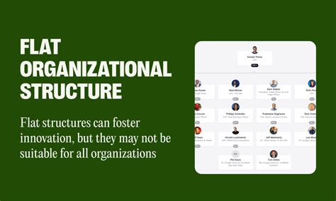 Flat Structure 的图像结果