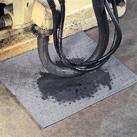 Expert Advice — New Pig India