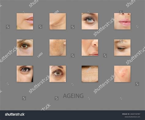 Aging Sign 的图像结果