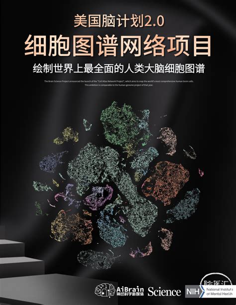 Serial Brain 2 的图像结果