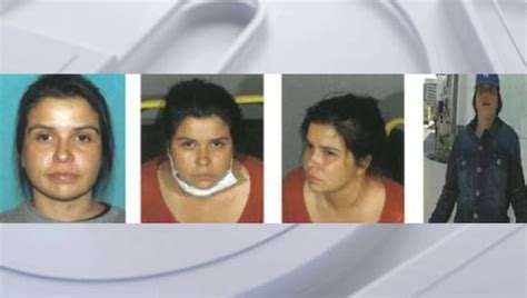 Woman's remains found in Hollywood Hills sewer drain; $50K reward ...