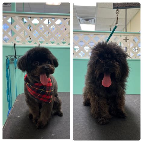 Online booking by GrooMore