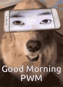 Image result for Add External Lib in Java Project