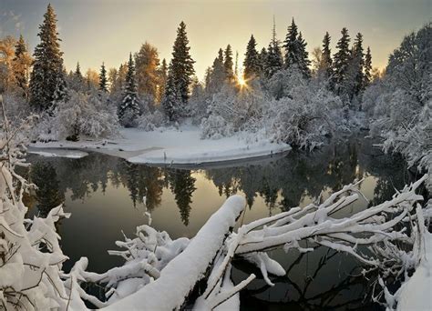 Earth - Winter forest tree red snow ice wallpaper | 1920x1200 | 531467 ...