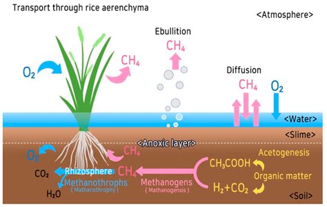 Risk Management of Methane Reduction Clean Development Mechanism ...