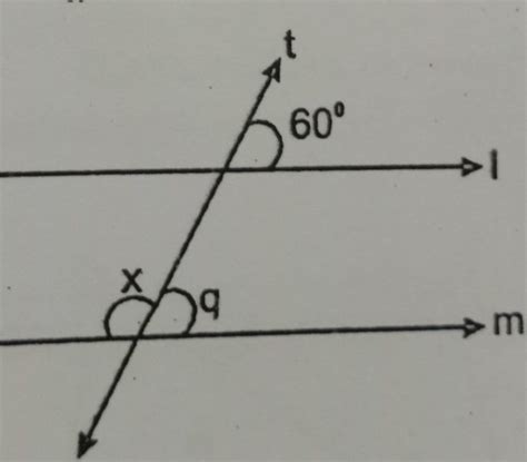 in the adjoining figure if l || m and t is transversal, find the value ...