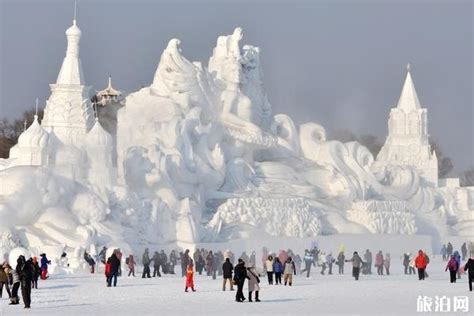 哈尔滨旅游攻略：冬天是一定要去一次东北 - 知乎