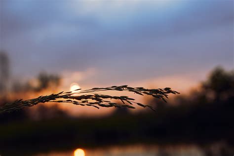 Silhouette of Running Man at Sunset · Free Stock Photo