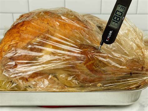 How To Cook A Turkey In A Roaster Oven In A Bag