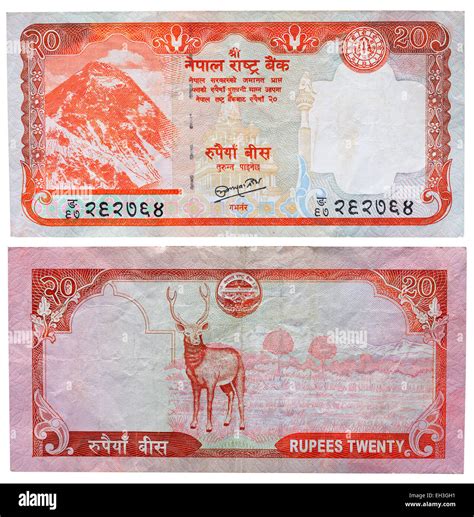 Nepalese Rupee Rupees Nepal Money Currency Hi Res Stock Photography