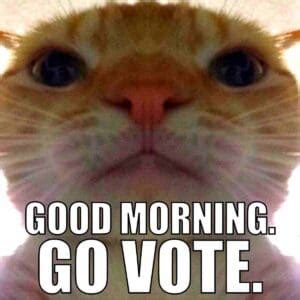 Vote Memes Clip Art 的图像结果