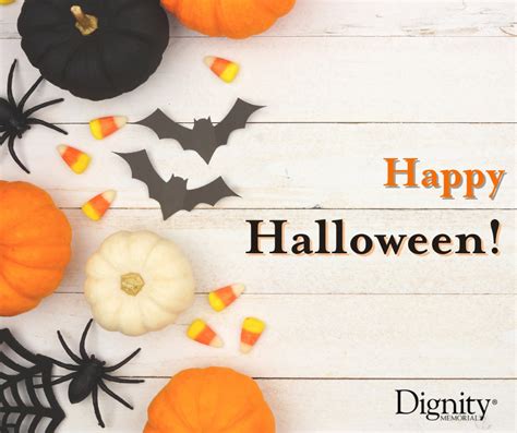 Wilbur-Romano Funeral Home - Social connections may help protect health ...