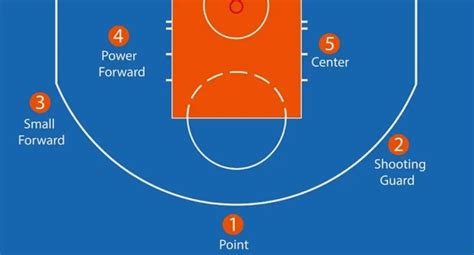 Basketball Position 的图像结果