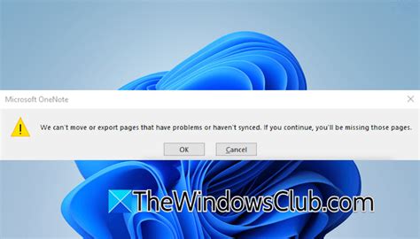 Image result for OneNote Misplaced Sections Error