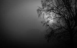 Wallpaper tree, night, lonely, silhouette, stars, moon, fog hd, picture ...