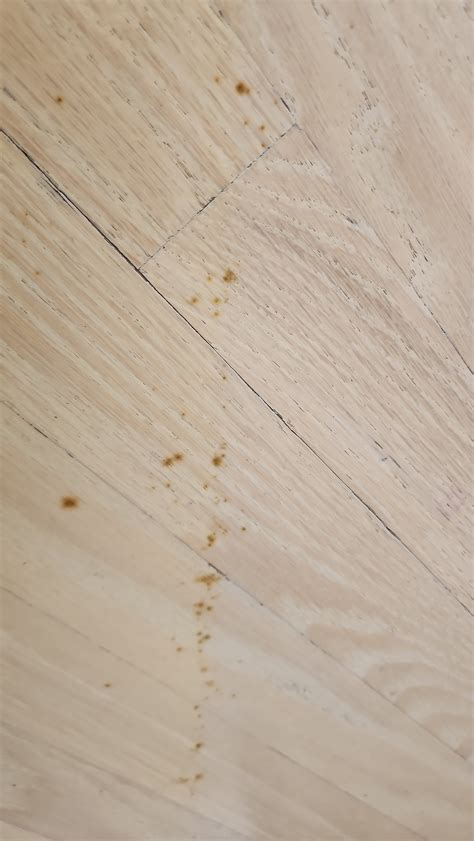 These spots suddenly appeared on the hardwood floor : r/Flooring