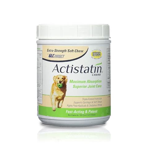 Buy Actistatin Canine Large Dog Soft Chews, 120ct – Patented Extra ...