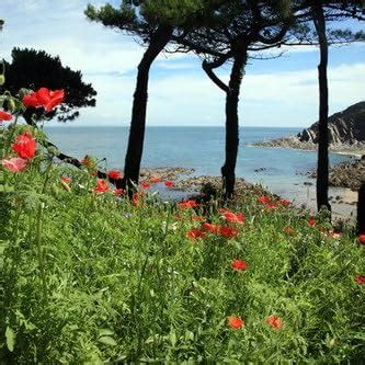 Zero Day: The First Heart-Racing Thriller Featuring Military ...