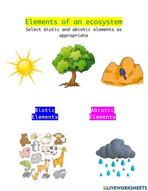 Ecosystem Worksheet 的图像结果