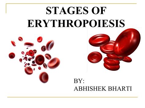 Erythropoiesis 150731072608-lva1-app6891 | PPTX