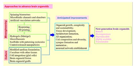 Brain Processing Unit 的图像结果