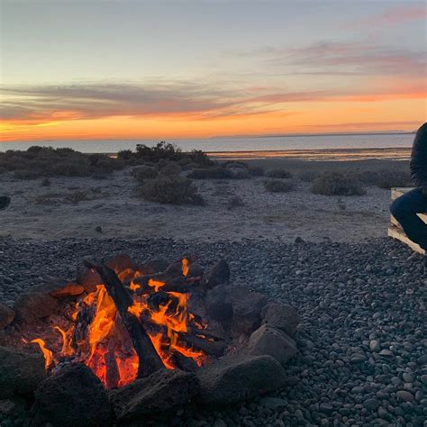 BAJA EXPEDITIONS - SAN IGNACIO LAGOON (2026) All You Need to Know ...