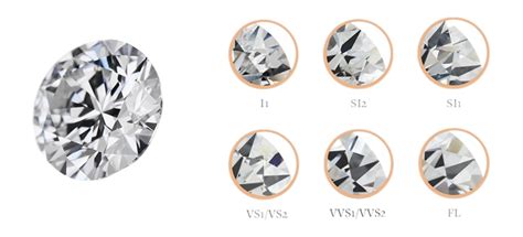 Home | Shree Ambe Export