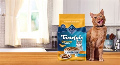 2-in-1 Cat Kibbles : BLUE Tastefuls Gravy