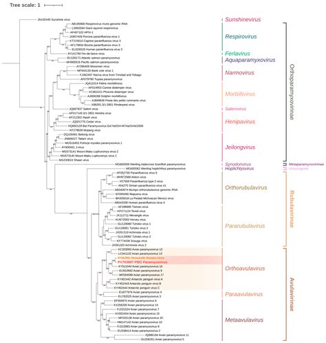 Highly Virulent Newcastle Disease Virus in Eurasian Collared Doves in ...
