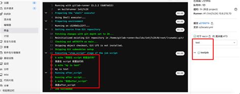 GitLab CI CD Include 的图像结果