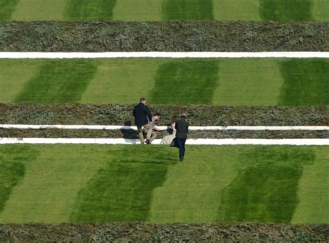 Aintree Grand National turns into publicity coup for fringe animal ...