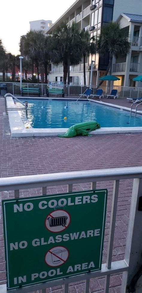 BIKINI BEACH RESORT (Panama City Beach) - Motel Reviews, Photos, Rate ...