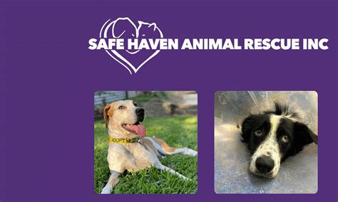 Safe Haven Animal Rescue Inc