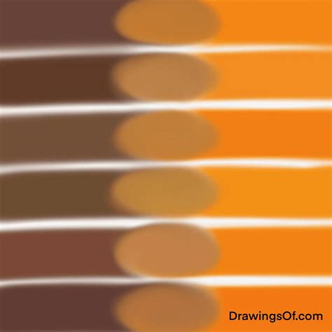 Terracotta Color: Orange and Brown Make What, Mixed? - Drawings Of...