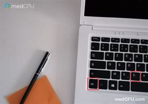 Using Computer How You Do Copy and Paste 的图像结果