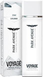 PARK AVENUE Woods Perfume Body Spray - For Men (120 ml) Body Spray ...