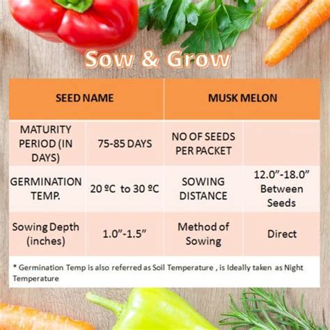 VibeX LXI-39 - Musk Melon - (450 Seeds) Seed Price in India - Buy VibeX ...