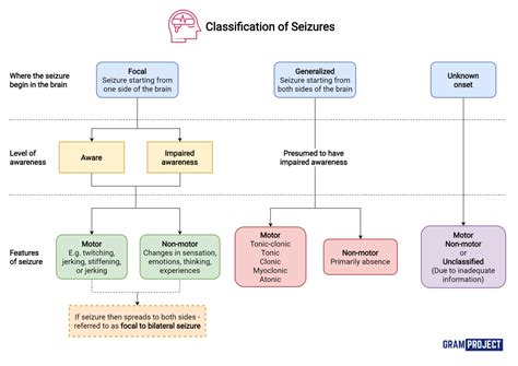 Epilepsy: Causes, Symptoms and Treatment - Public Health Notes
