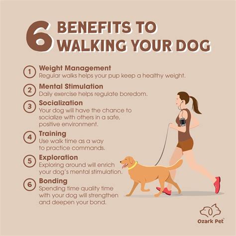 How Much Do You Make From Dog Walking at Maria Spillman blog