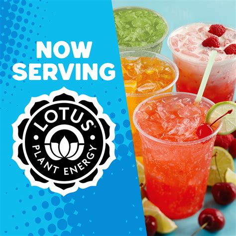 Lotus Energy Drinks (24 or 32oz.) | Red Devil Roast Coffee Company