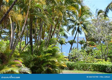 Allerton Garden - National Tropical Botanical Garden in Koloa on Kauai ...