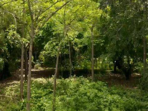 A unique 'film city' away from Mumbai