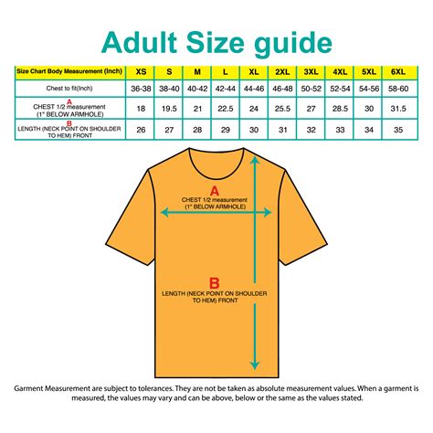 In the Beginning Spoof Funny T-Shirt, Joke Meme, Funny Saying, In di ...